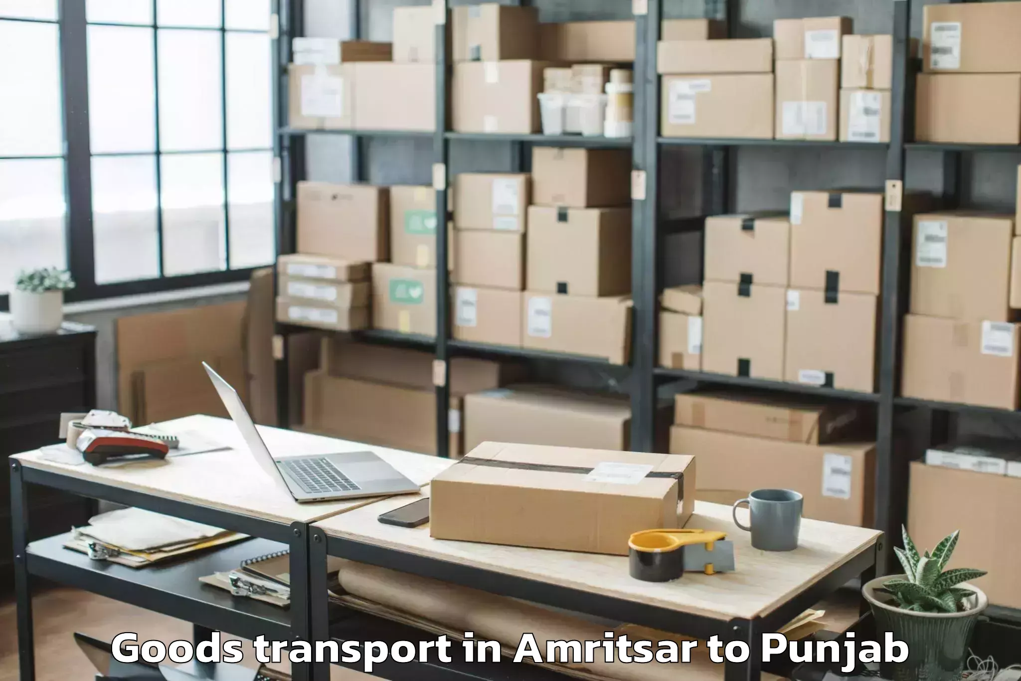 Professional Amritsar to Rahon Goods Transport